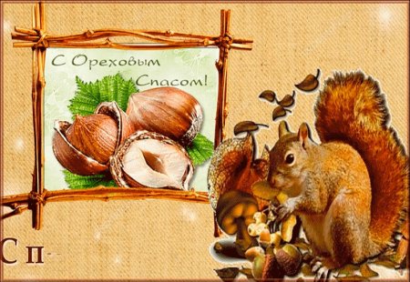 Открытка орешки