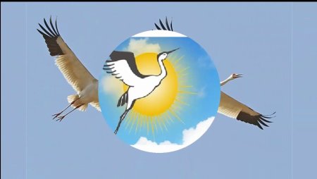 Символ праздника белые Журавли