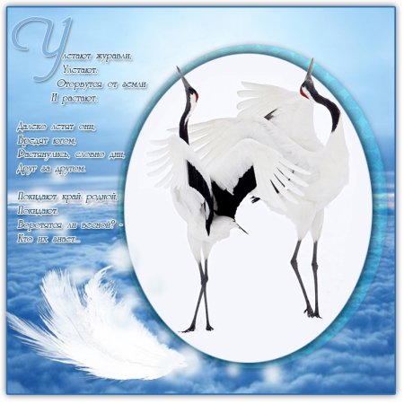 Всемирный день журавля