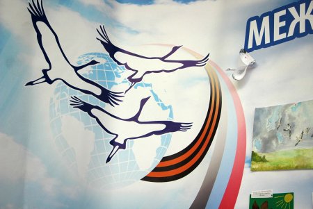 Журавли символ Победы