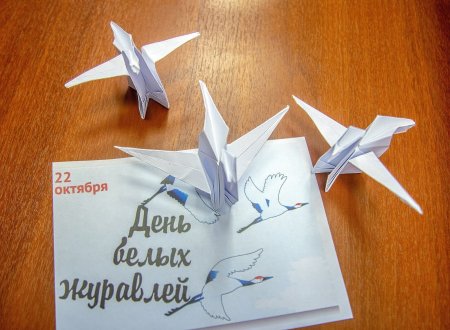 Акция белые Журавли