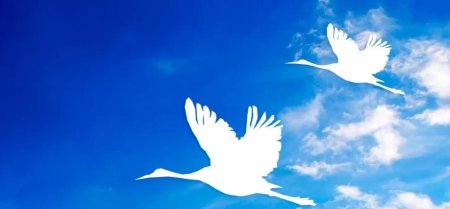 Символ праздника белые Журавли