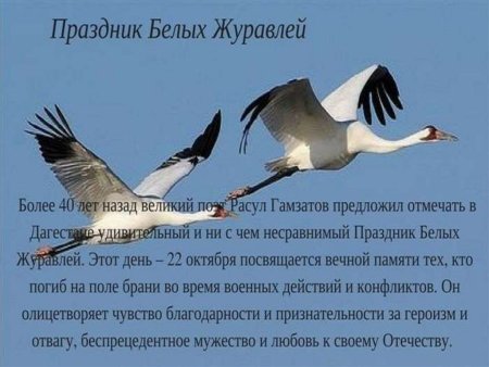 Праздник журавлей