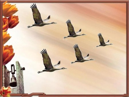 День Победы Журавли