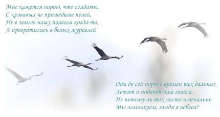 День белых журавлей в честь солдат павших на полях сражений