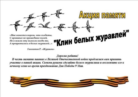 Акция белые Журавли памяти