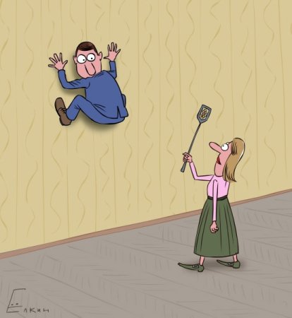 Мухобойка карикатура