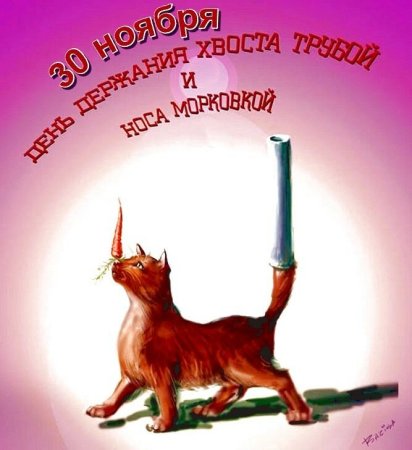 День держания хвоста трубой и носа морковкой 30 ноября