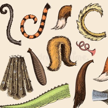 Хвосты животных для детей