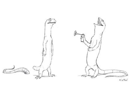 Ящерица отбрасывает хвост гиф