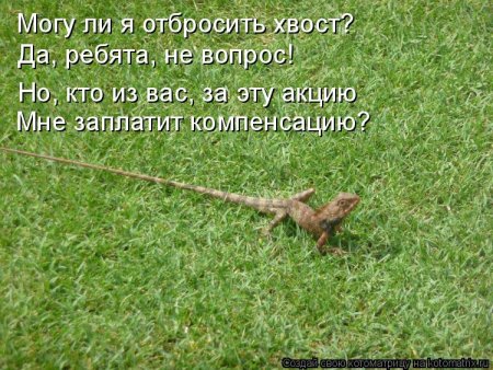 День отбрасывания хвоста 23 октября