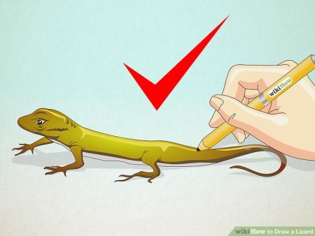 Парень с хвостом ящерицы арт