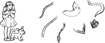 Хвост раскраска для детей