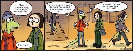 Студент хвосты юмор