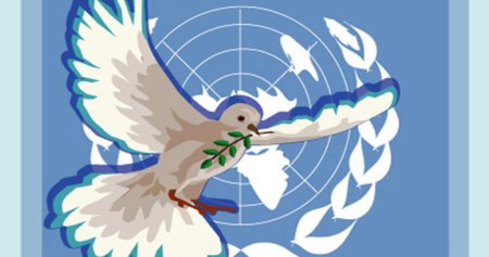 День госслужбы ООН