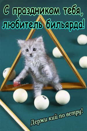 День бильярда
