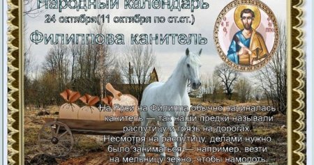 Филиппова канитель 24 октября