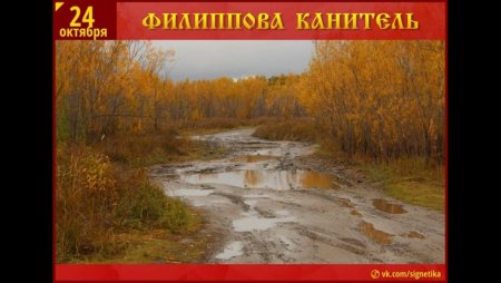 Филиппова канитель 24 октября праздник народный