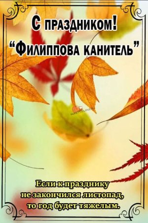 Филиппова канитель 24 октября