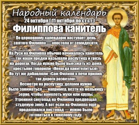 Филиппова канитель 24 октября