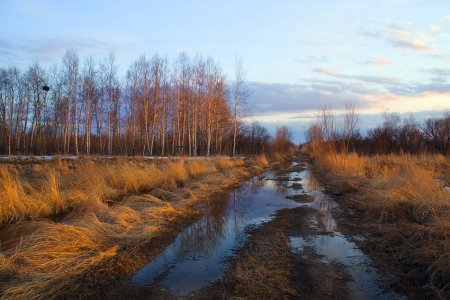 Параскева Грязниха, Порошиха.