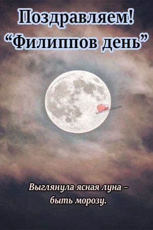 Филиппова канитель 24 октября открытки