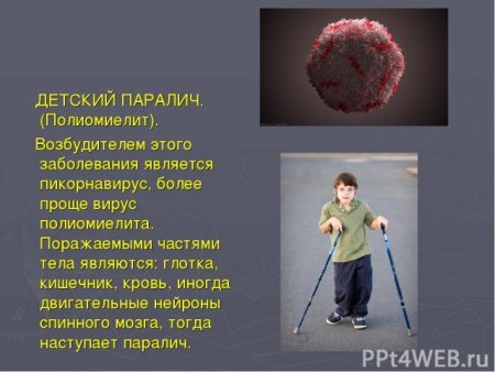 Полиомиелит возбудитель пути передачи поражаемые части тела