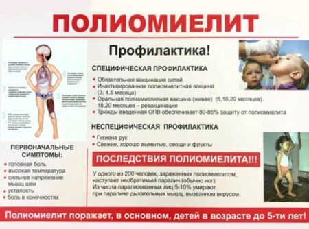 Профилактика болезни полиомиелит