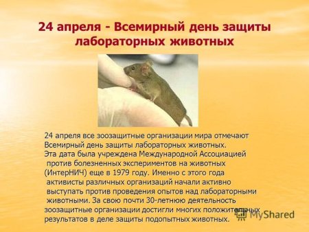 Всемирный день защиты лабораторных животных 24 апреля