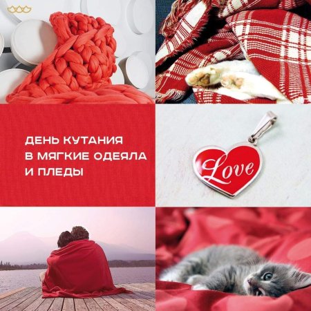 День кутания в мягкие одеяла