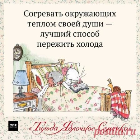 Открытки с днем кутания в пледы
