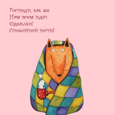 День кутания в пледы