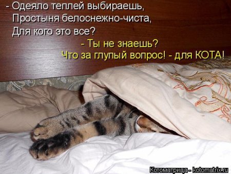 Высказывания про одеяло