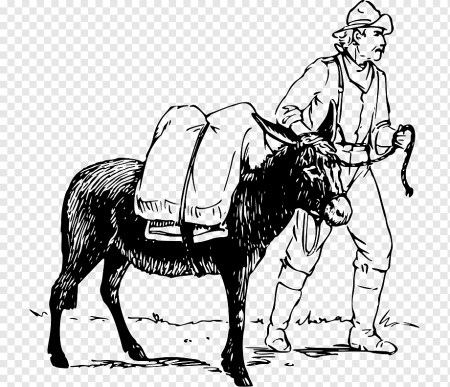 Конь навьючен