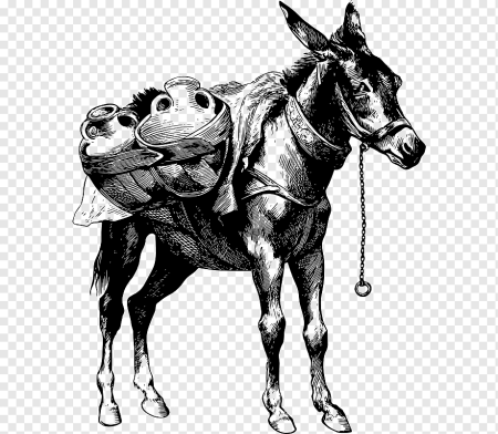 Навьюченный мул