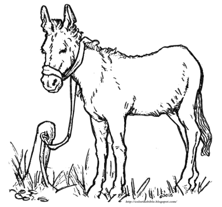 Семья осликов раскраска