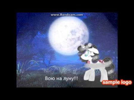 Всемирный день воя на луну