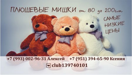 День плюшевого мишки в России