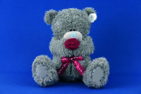 Международный день плюшевого мишки