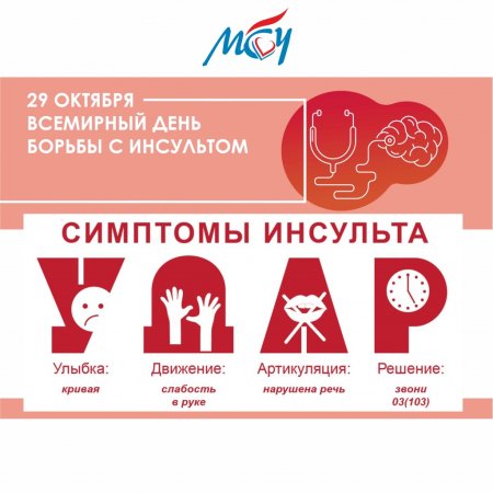 Всемирный день борьбы с Инсу