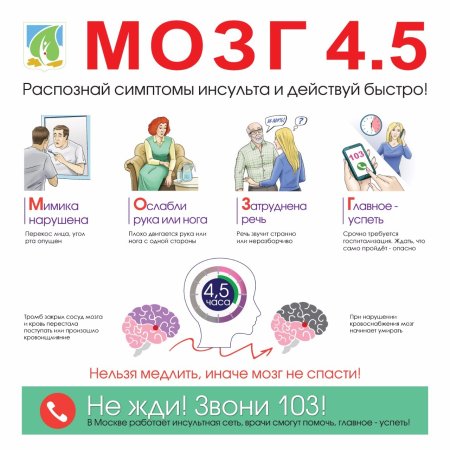 Всемирный день борьбы с инсультом
