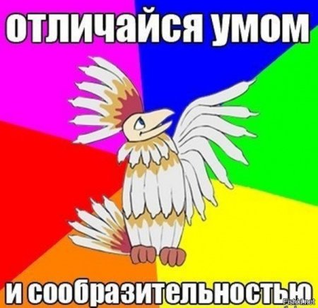 Птица Говорун отличается умом и сообразительностью