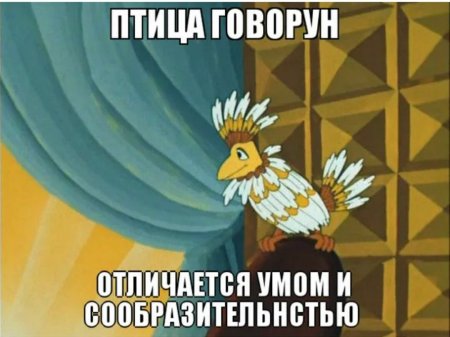 Птица Говорун отличается умом и сообразительностью