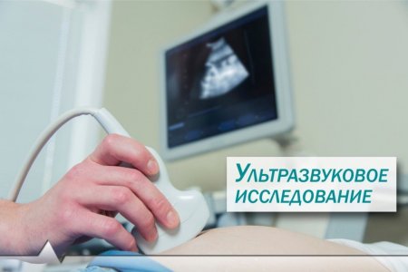 Всемирный день врача УЗИ