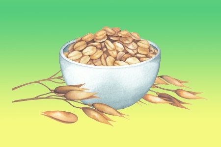 Овсянка рисунок