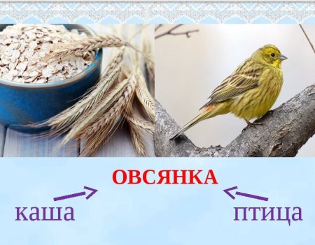 Овсянка птица и крупа