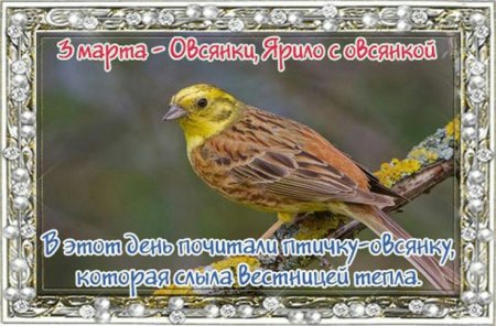 Овсянки Ярило с овсянкой Ярило с бороной 3 марта