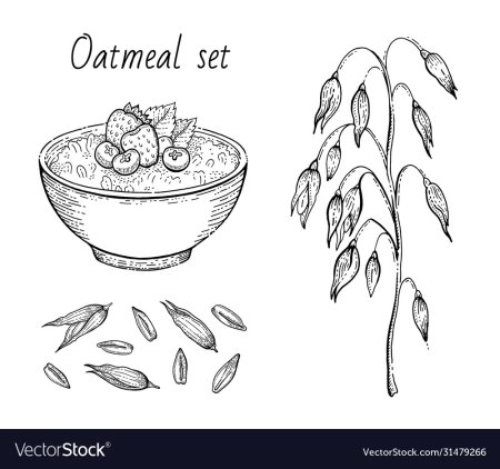 Овсянка раскраска