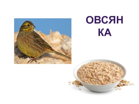 Каша для птиц