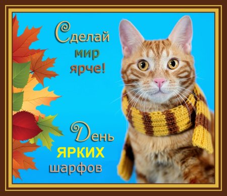 День длинных пестрых шарфов 29 октября